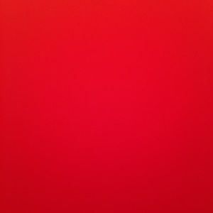 Meet your Posher, Nevaeh